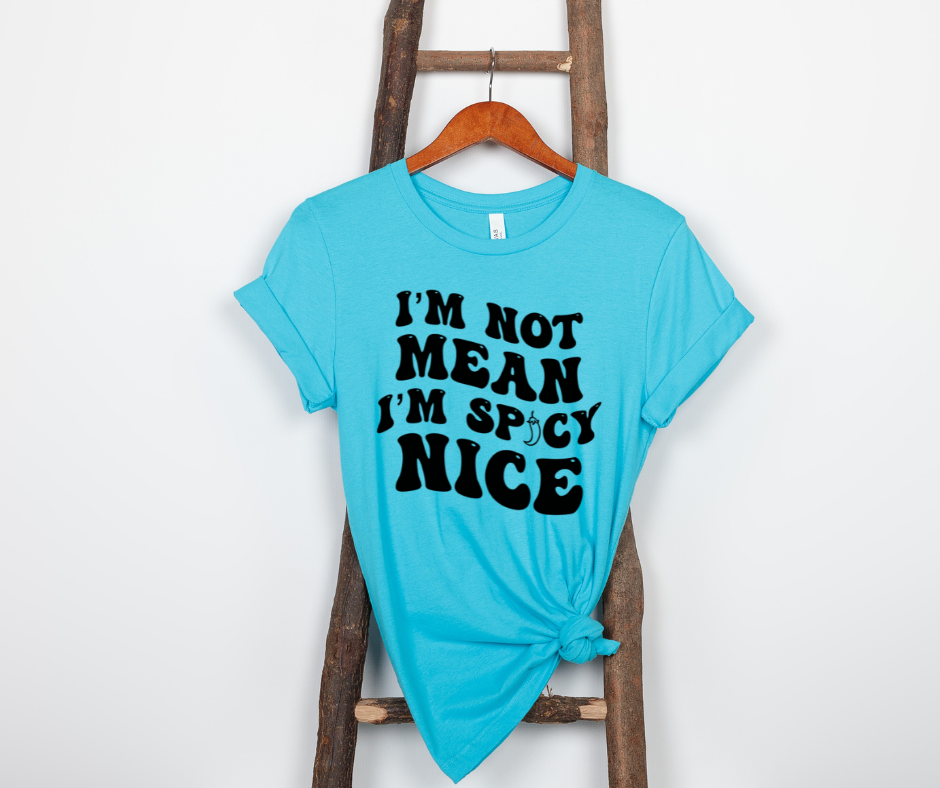 I'm Not Mean I'm Spicy  DTF Transfer Print(Only) Ready To Press