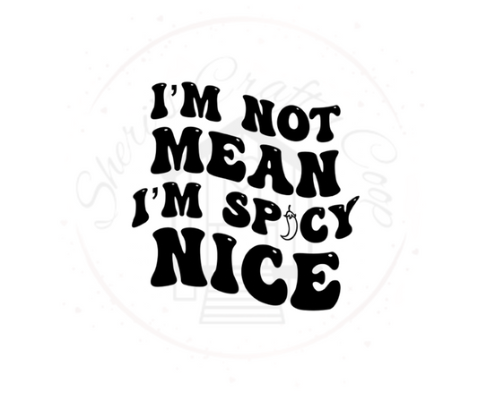 I'm Not Mean I'm Spicy  DTF Transfer Print(Only) Ready To Press