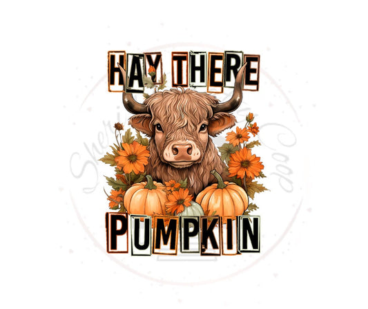 Hay There Pumpkin Highland Cow DTF Transfer Print(Only) Ready To Press